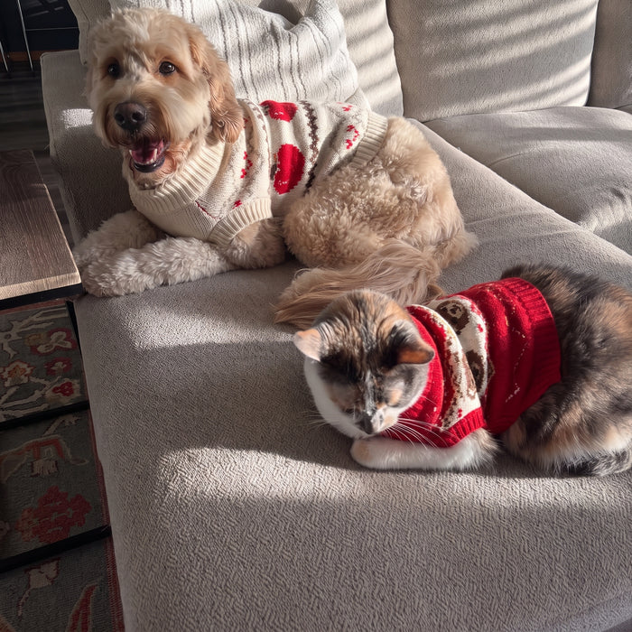 Apple Cream & Teddy Red