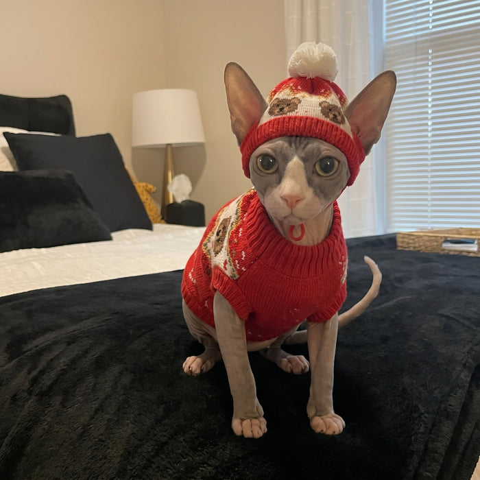 Teddy Red