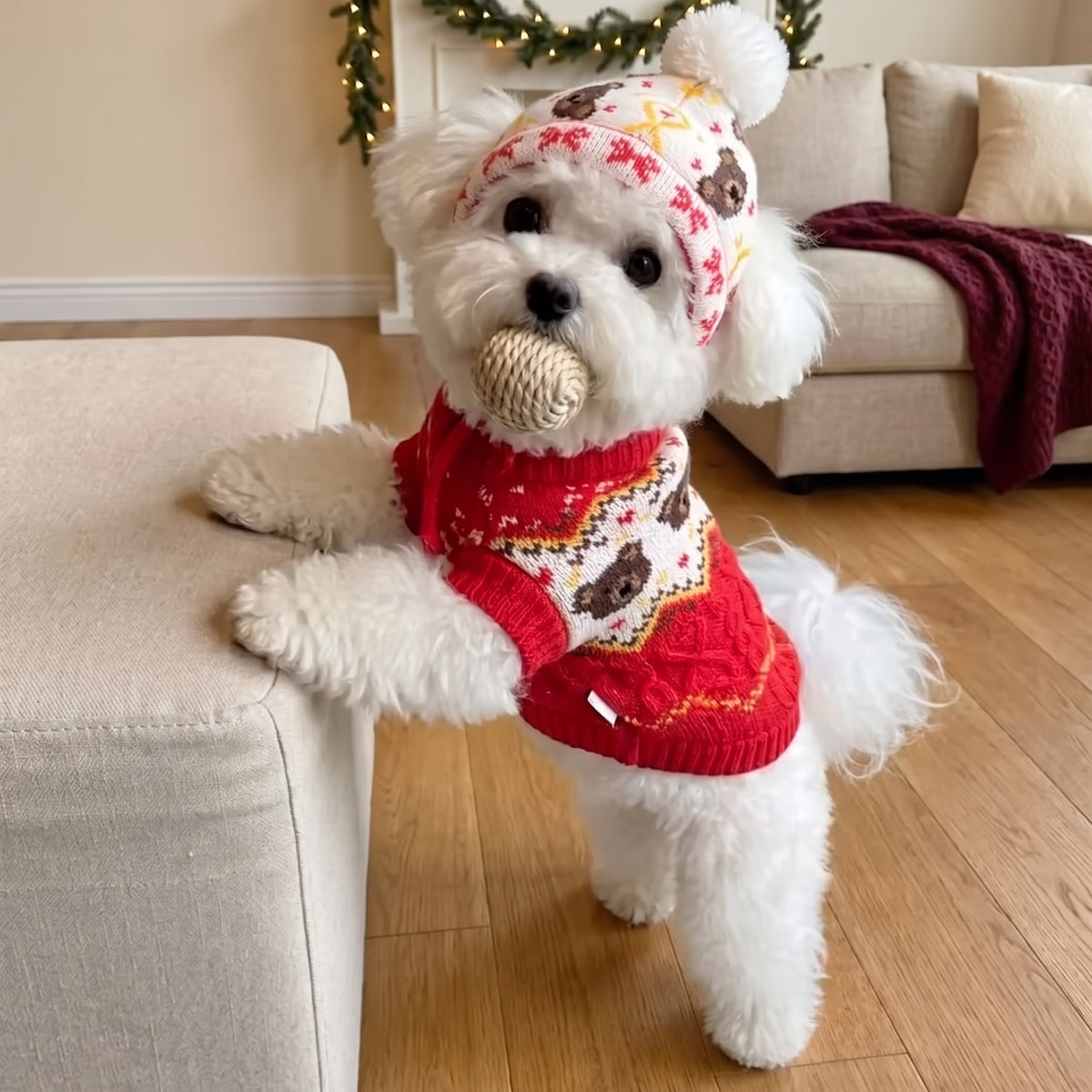 Retro Knit Pet Sweater & Hat Set – Cozy Turtleneck for Dogs & Cats