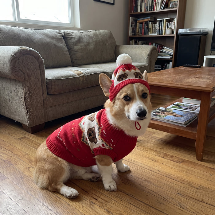Teddy Red