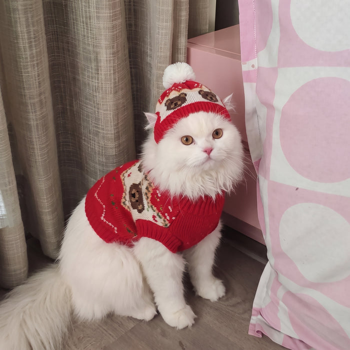 Teddy Red